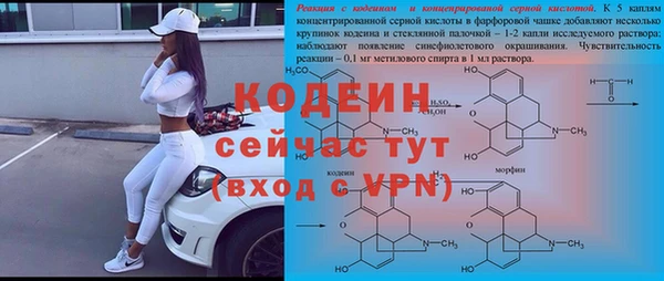 шишки Белая Холуница